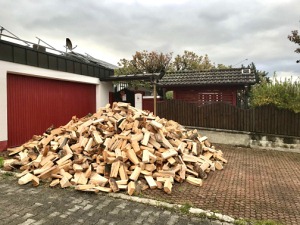 Holz 10 Ster