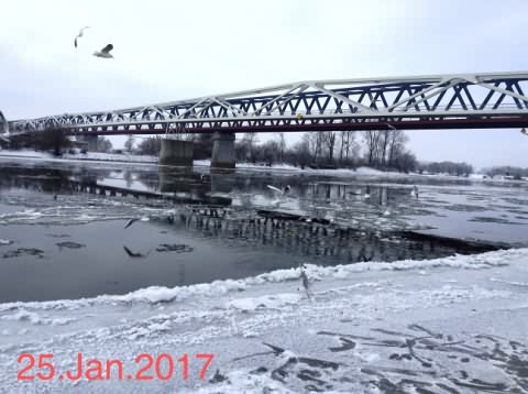Eisschollen Donau 2017
