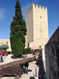 Tortosa Castello