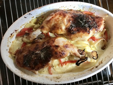 Hähnchenkeule auf Gratin