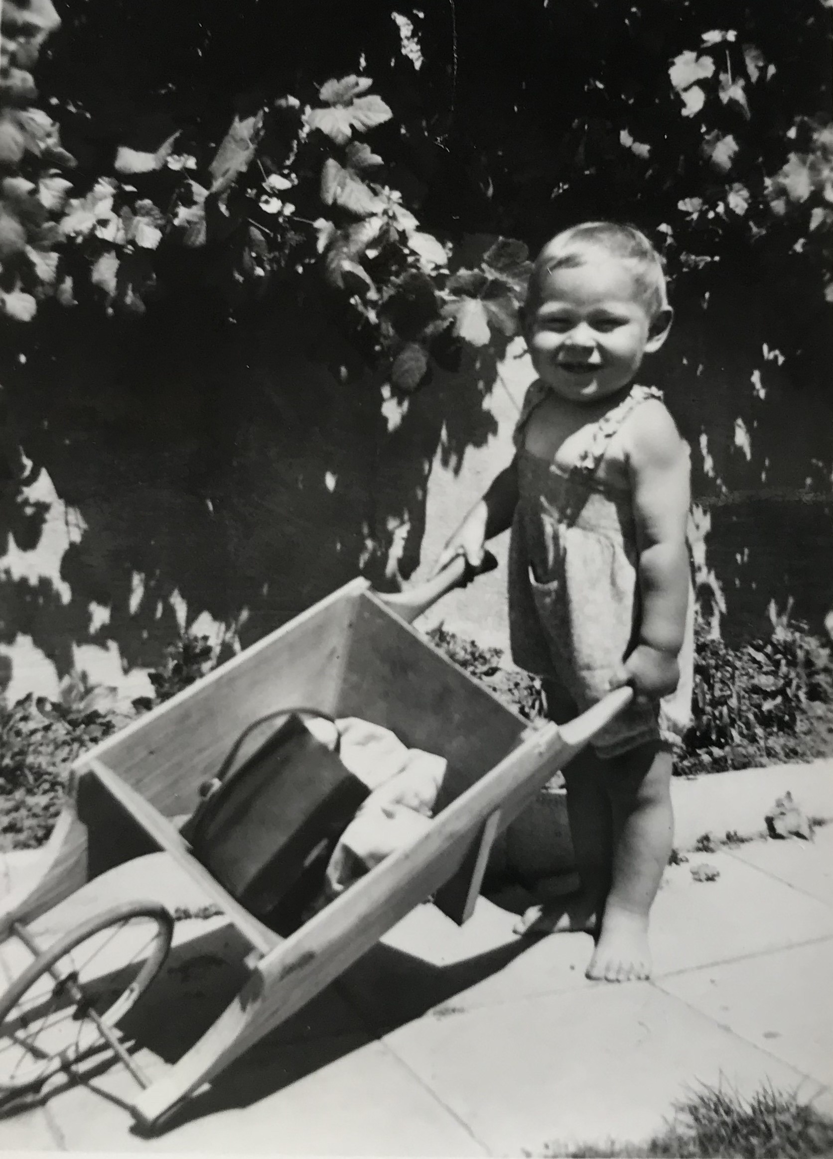 Meine Werkzeuge im Schubkarren